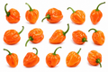CHILLI