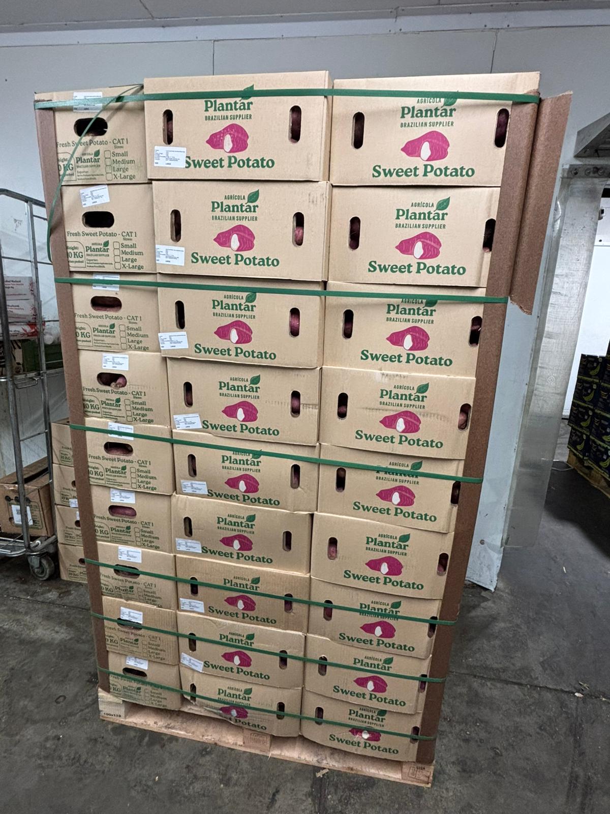 SWEET POTATO BRAZIL 5KG