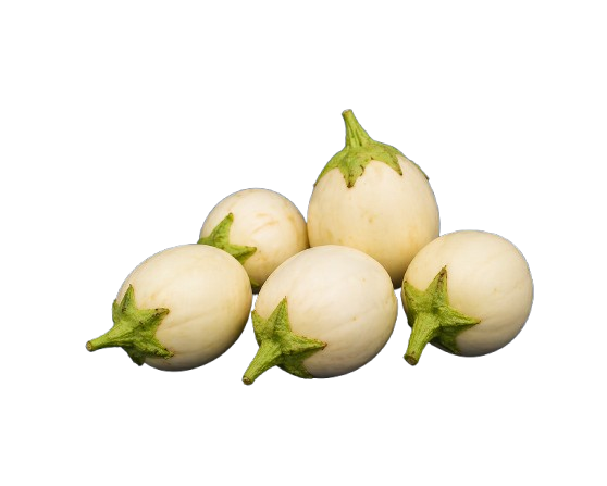 GARDEN EGGS