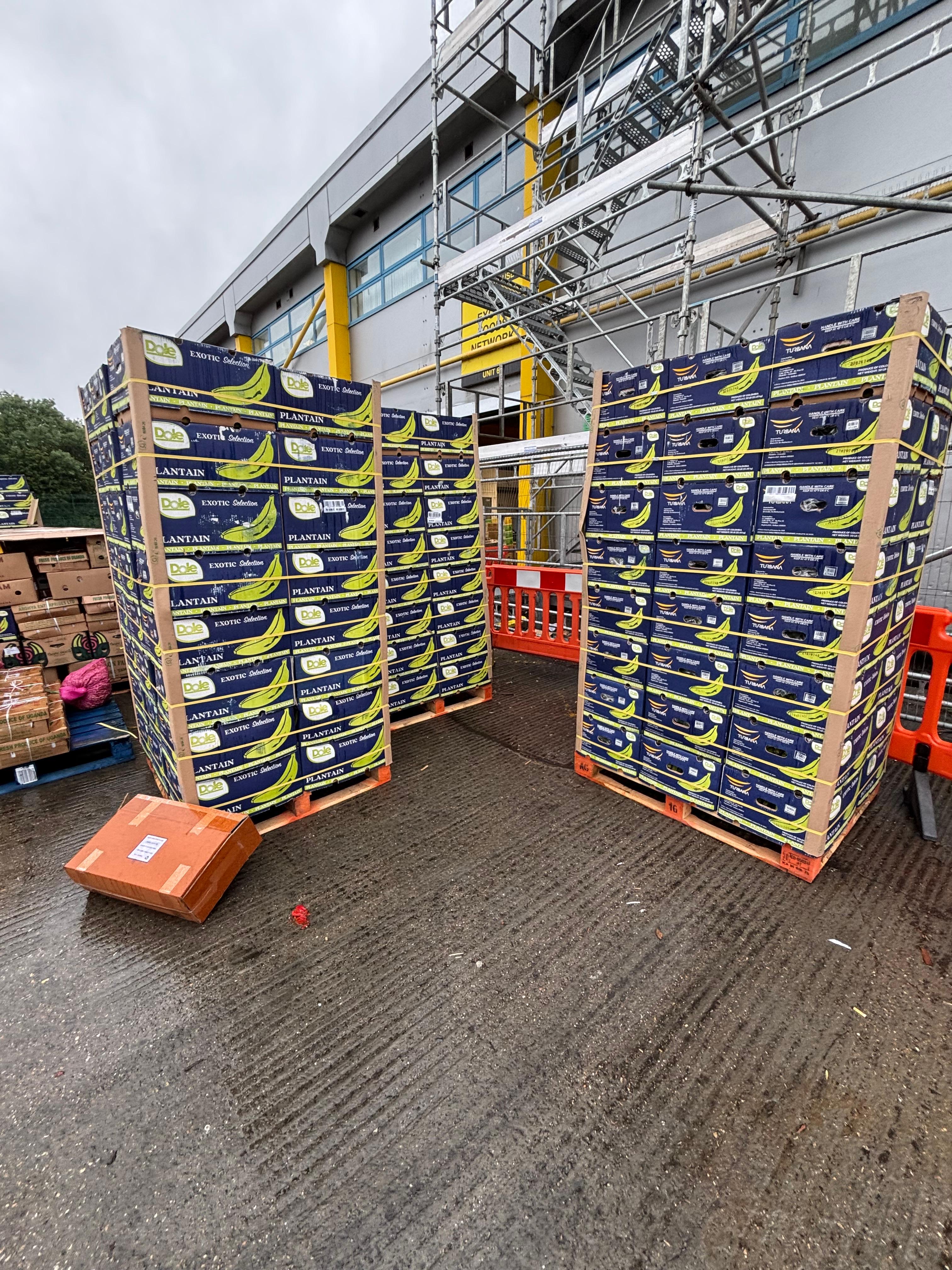 PLANTAINS – GREEN 22.7 kg