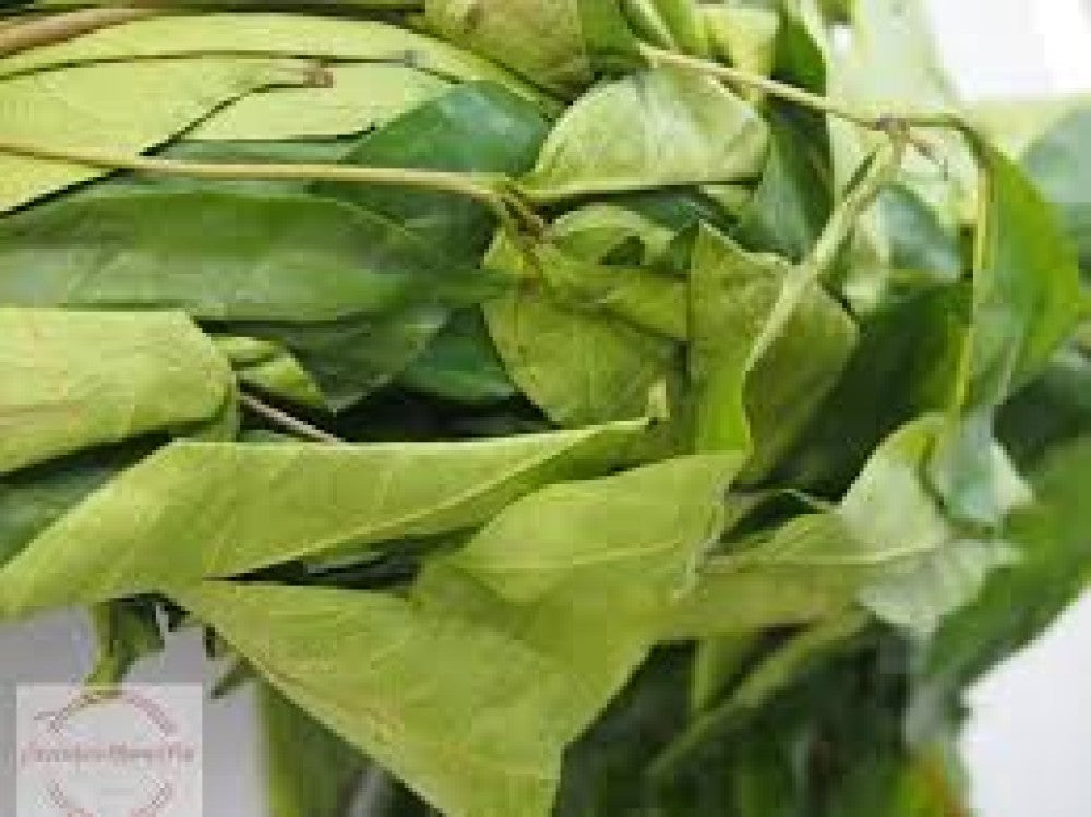 UTAZI