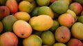 MANGOES BOX