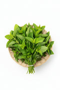 Scent Leaf Bunch