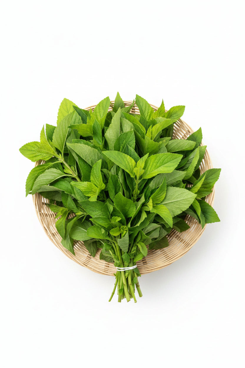 Scent Leaf Bunch
