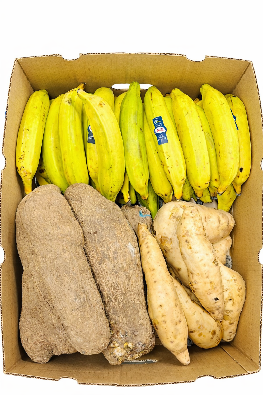 Roots Fibre Box 18kg