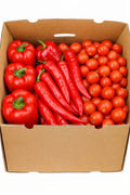 Pepper + Tamato Box 4kg