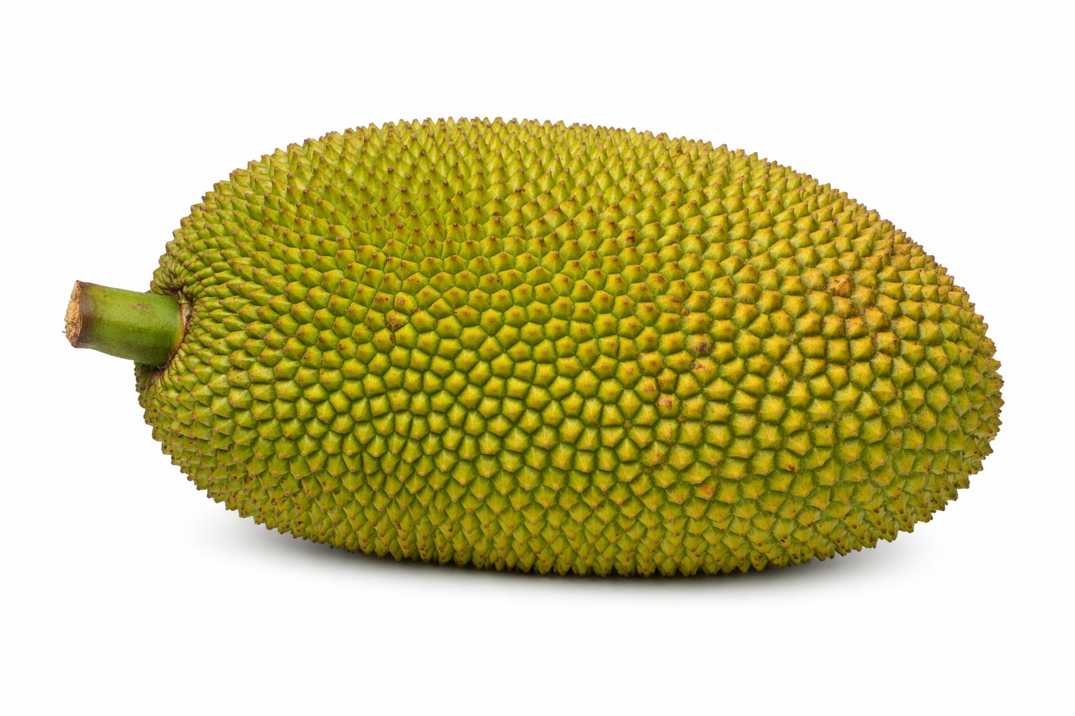 Jack Fruit 7.5KG