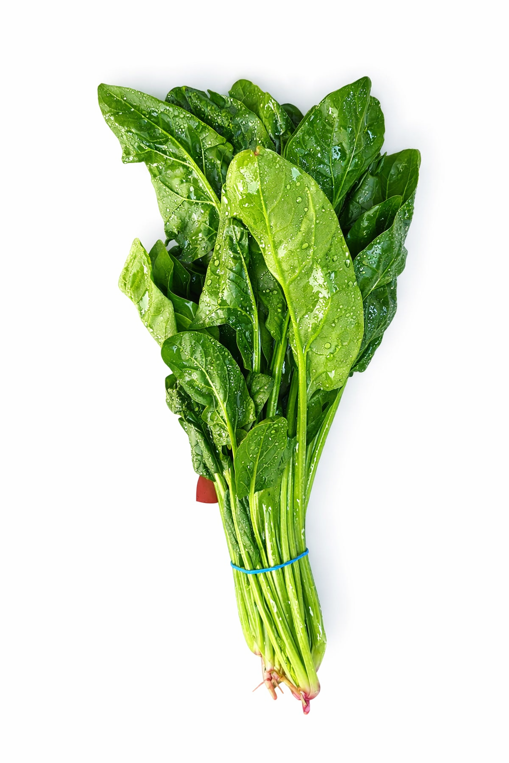 SAAG