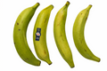 PLANTAINS COLUMBIA GREEN 22.7 kg