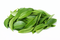 SOUR SOP LEAVES