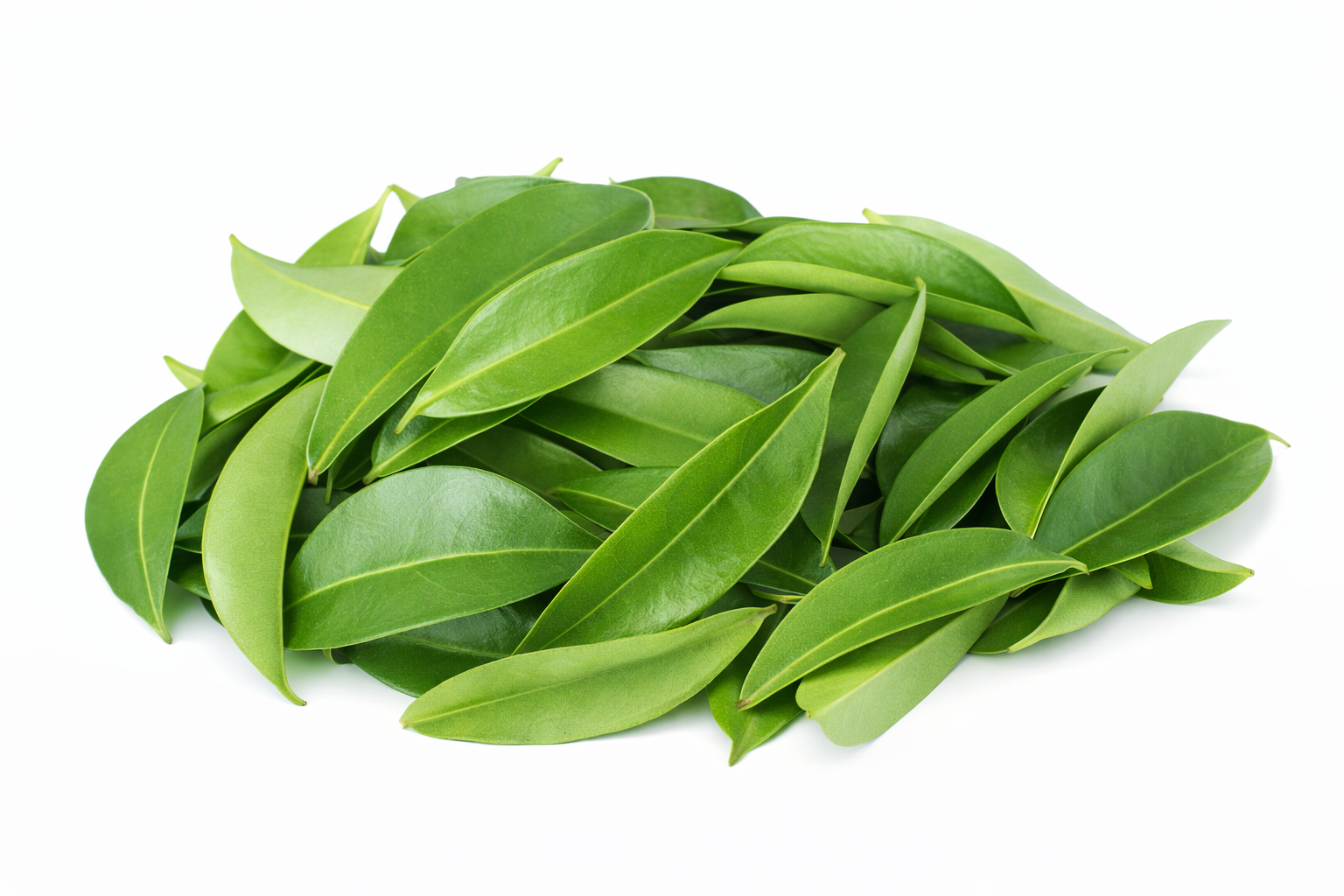 SOUR SOP LEAVES