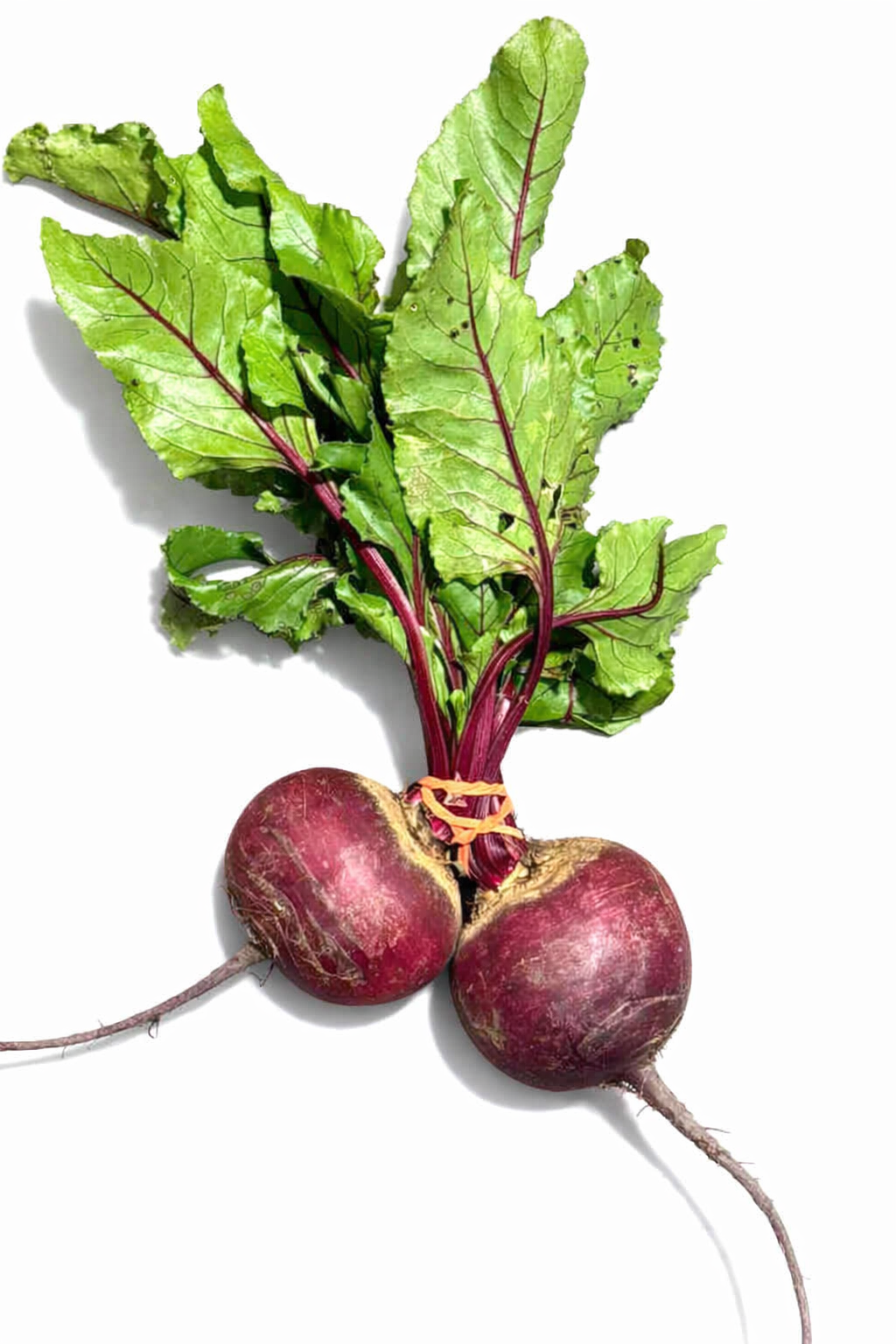 BEET ROOT 10kg
