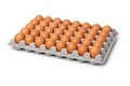 Pre Packed Eggs