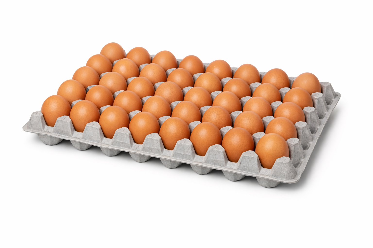 Pre Packed Eggs