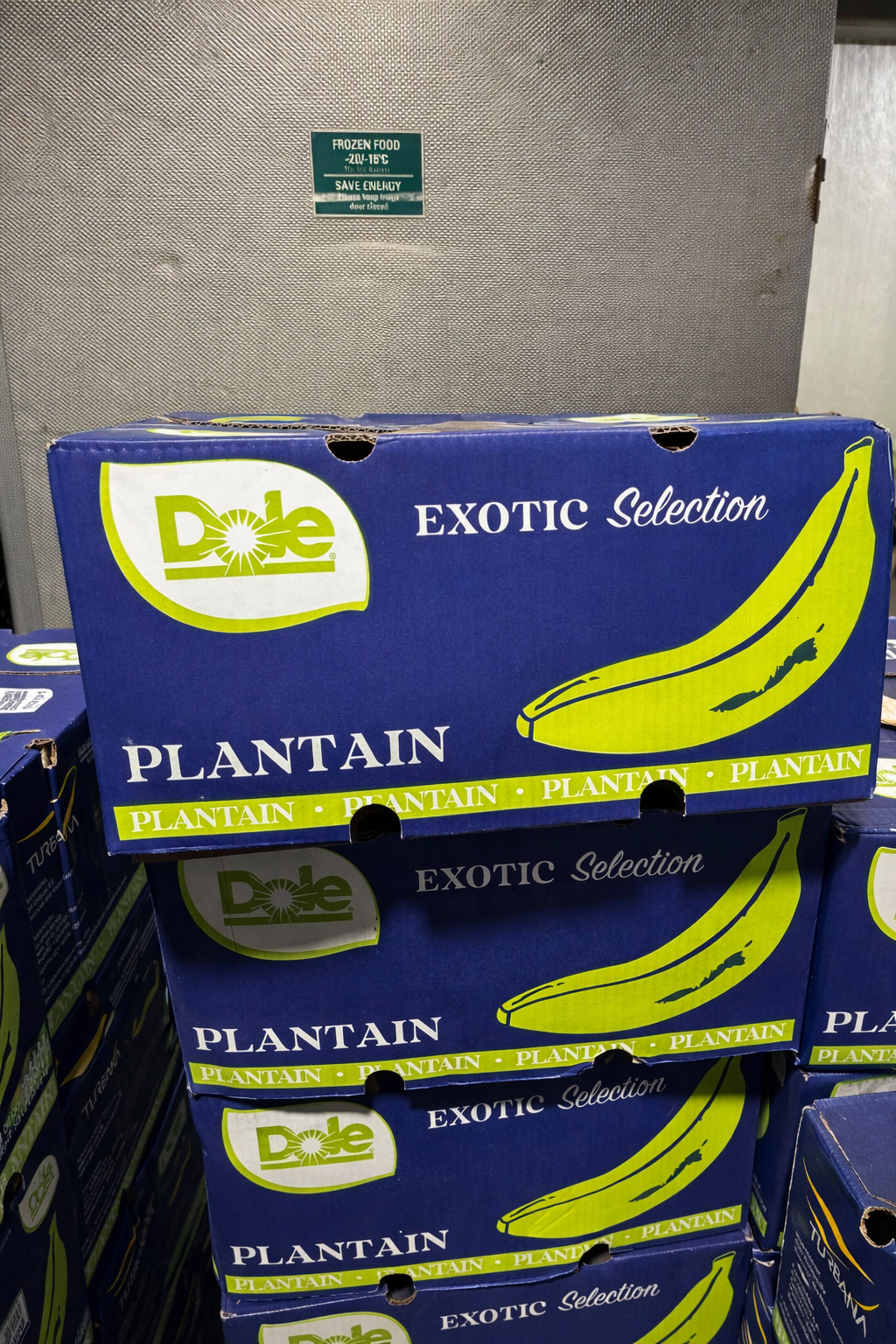 PLANTAINS – GREEN 22.7 kg