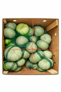 Pumpkin Grey 15KG