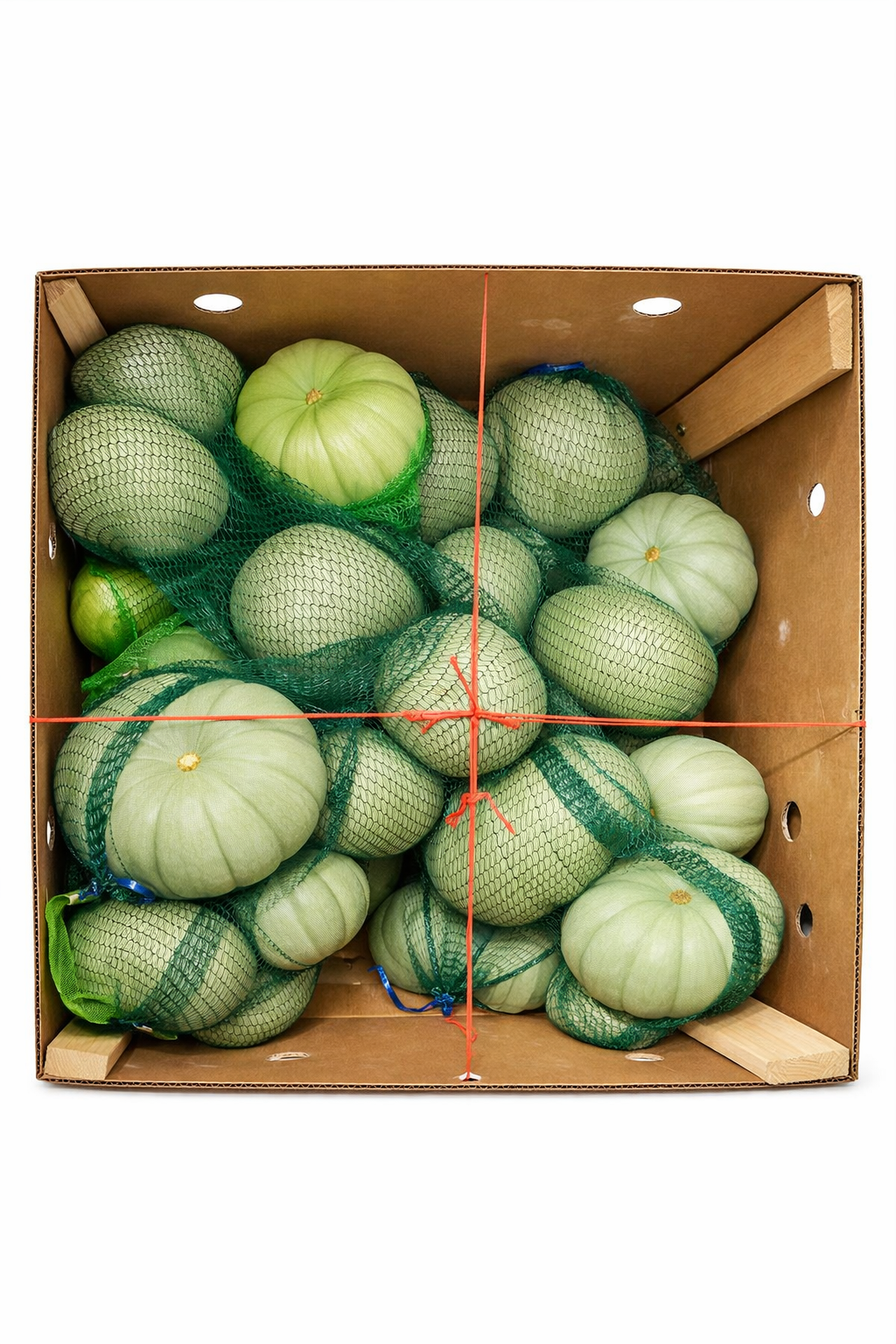 Pumpkin Grey 15KG