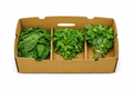 Leaty Green Box 3kg