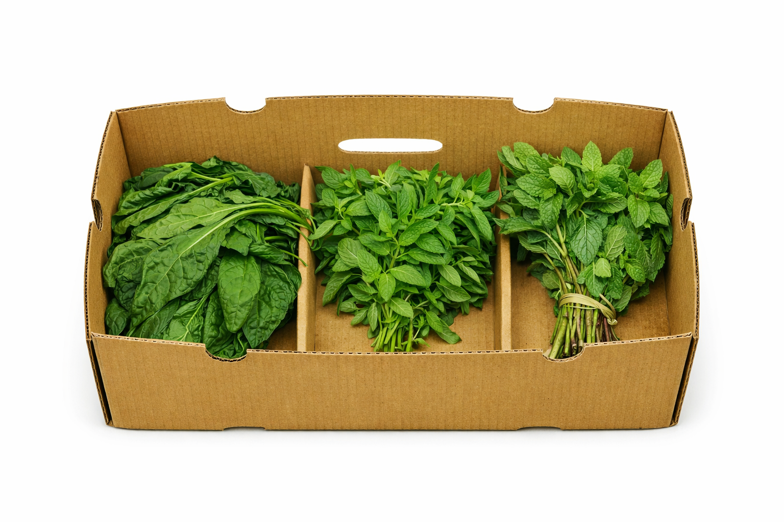 Leaty Green Box 3kg