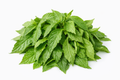 BANGA SPICE LEAF