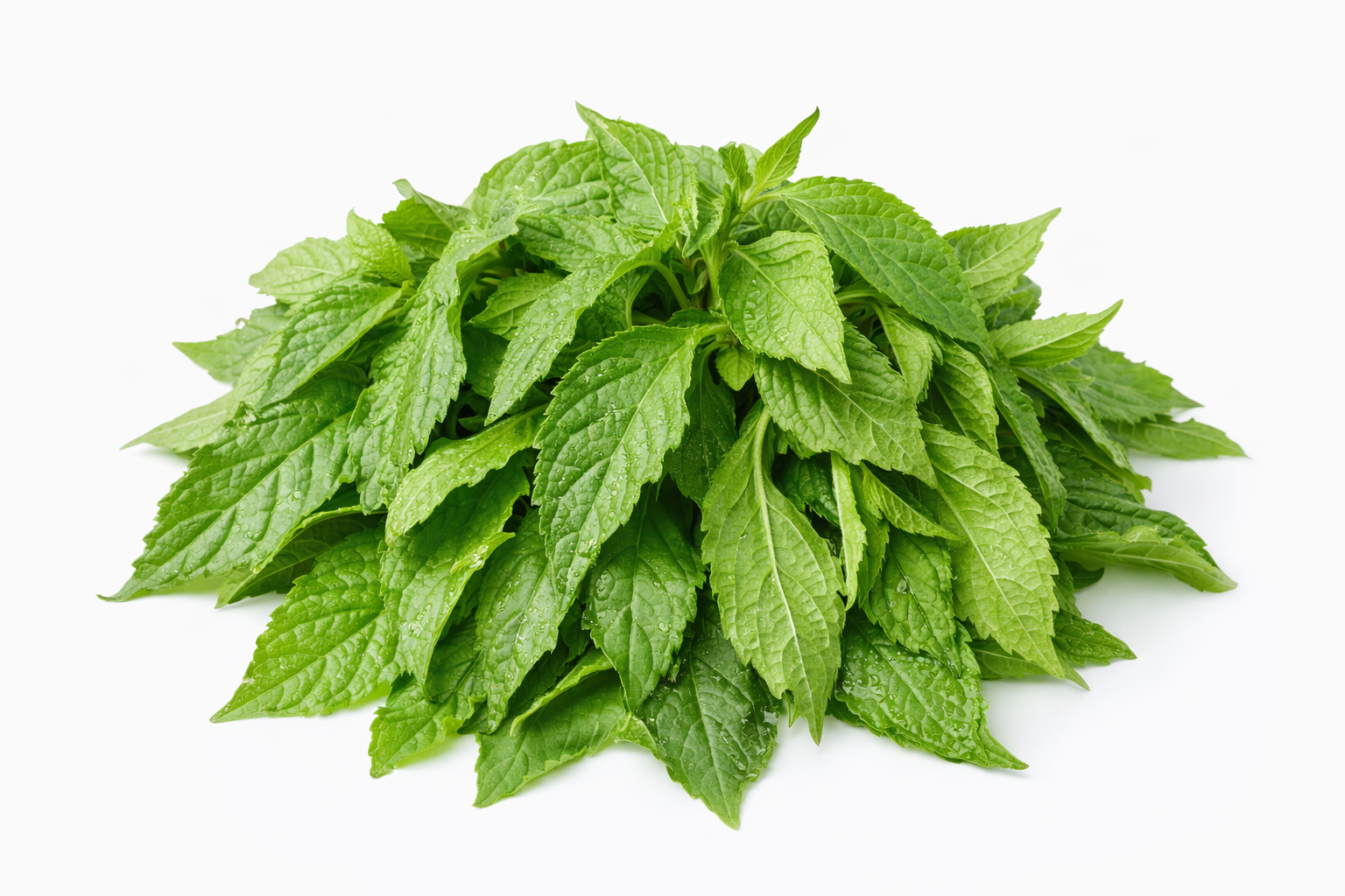 BANGA SPICE LEAF