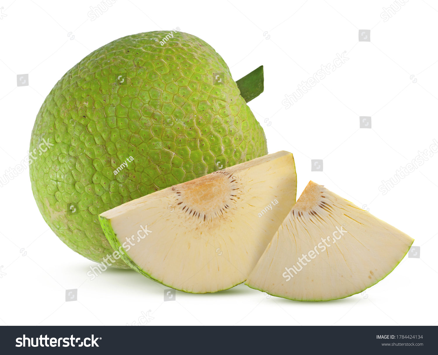 BREAD FRUIT