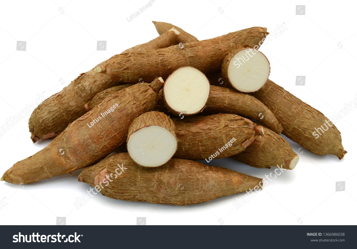 CASSAVA