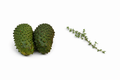 SOUR SOP