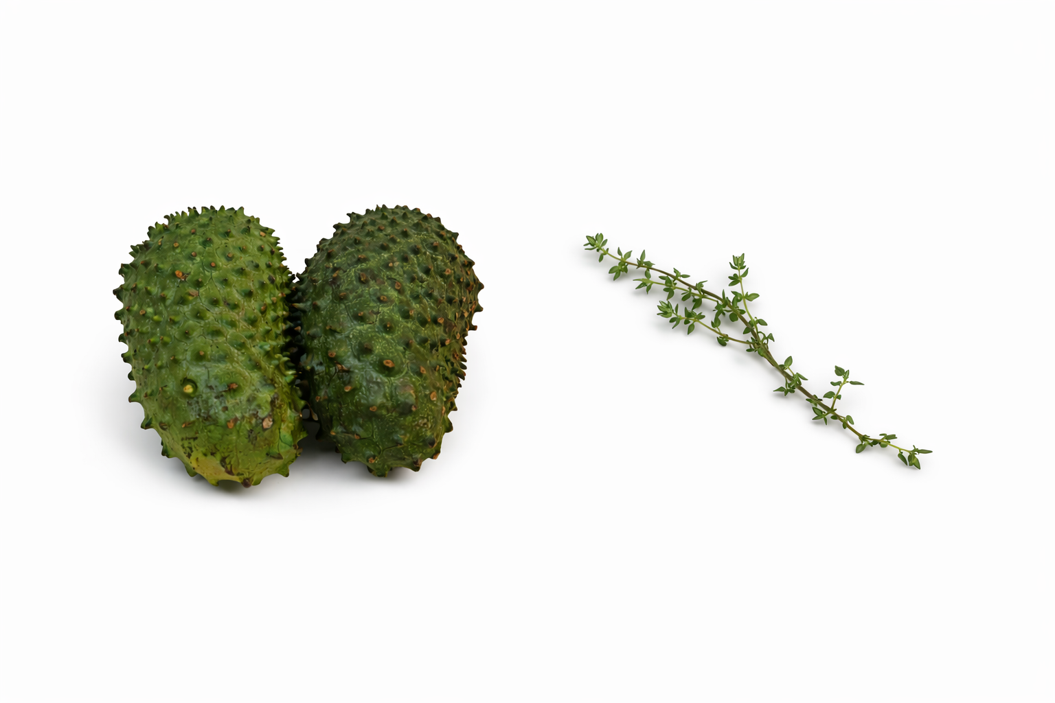SOUR SOP