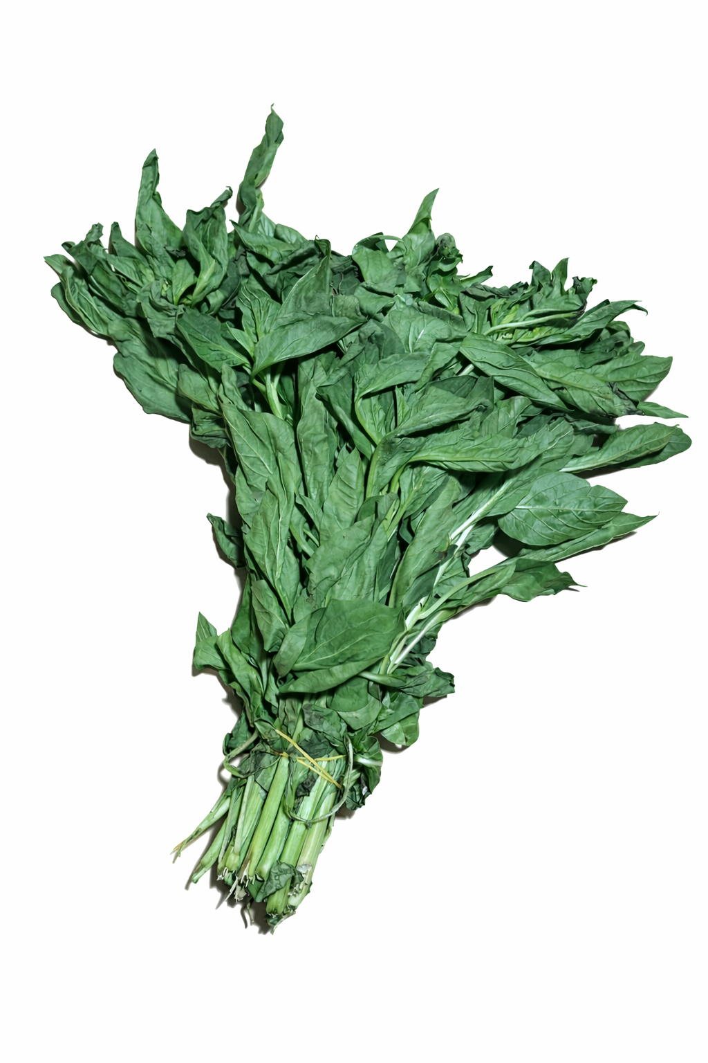 SOKO