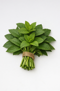 Mint Bunch