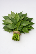 Fresh Ewedu leaf bunch