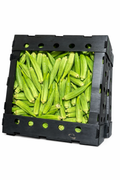 OKRA MEXICAN Box