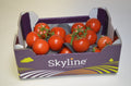 TOMATOES 5kg