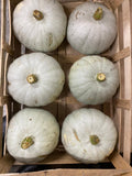 PUMPKINS CROWN PRINCE 15kg