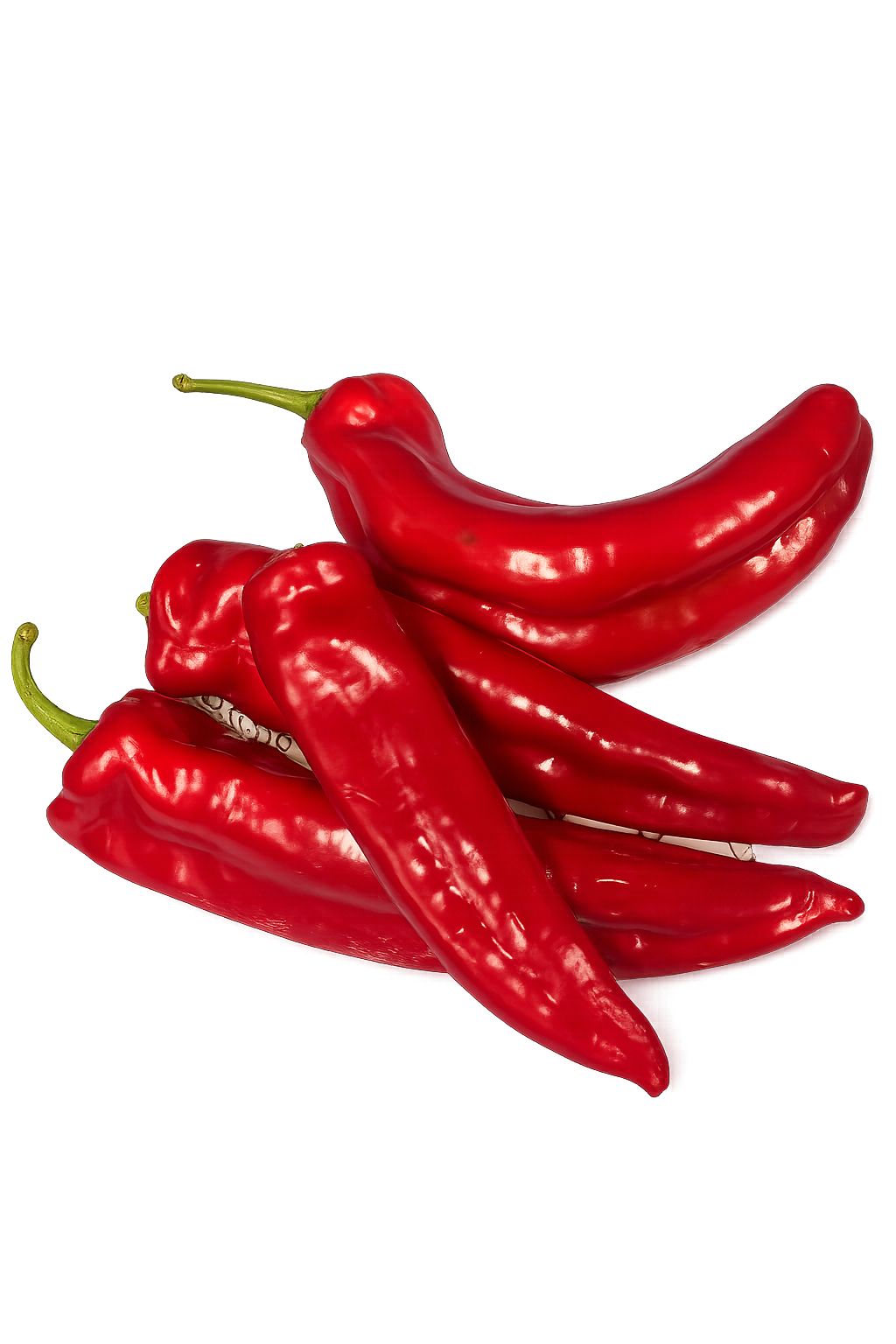 CAPSICUMS – LONG (ROMERO)