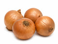 ONION 4kg White