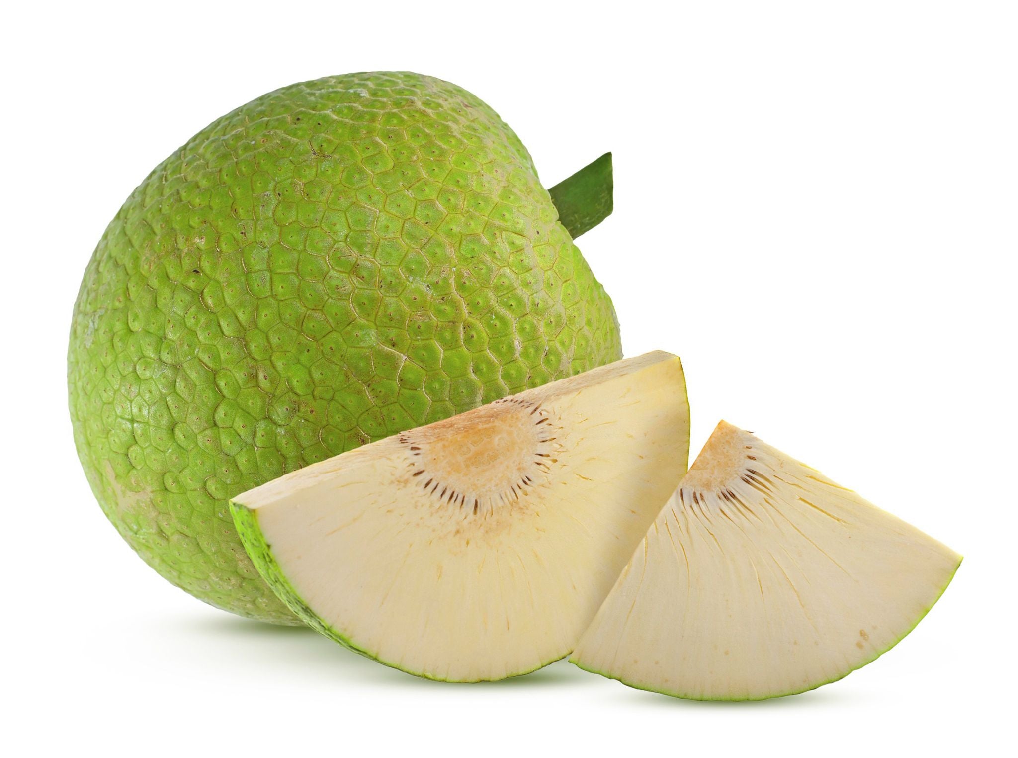 BREAD FRUIT