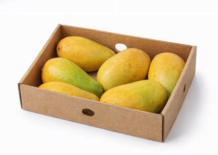 MANGOES HADDEN BOX