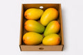 MANGOES JULIES BOX