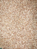 Oloyin Beans 20KG Bags
