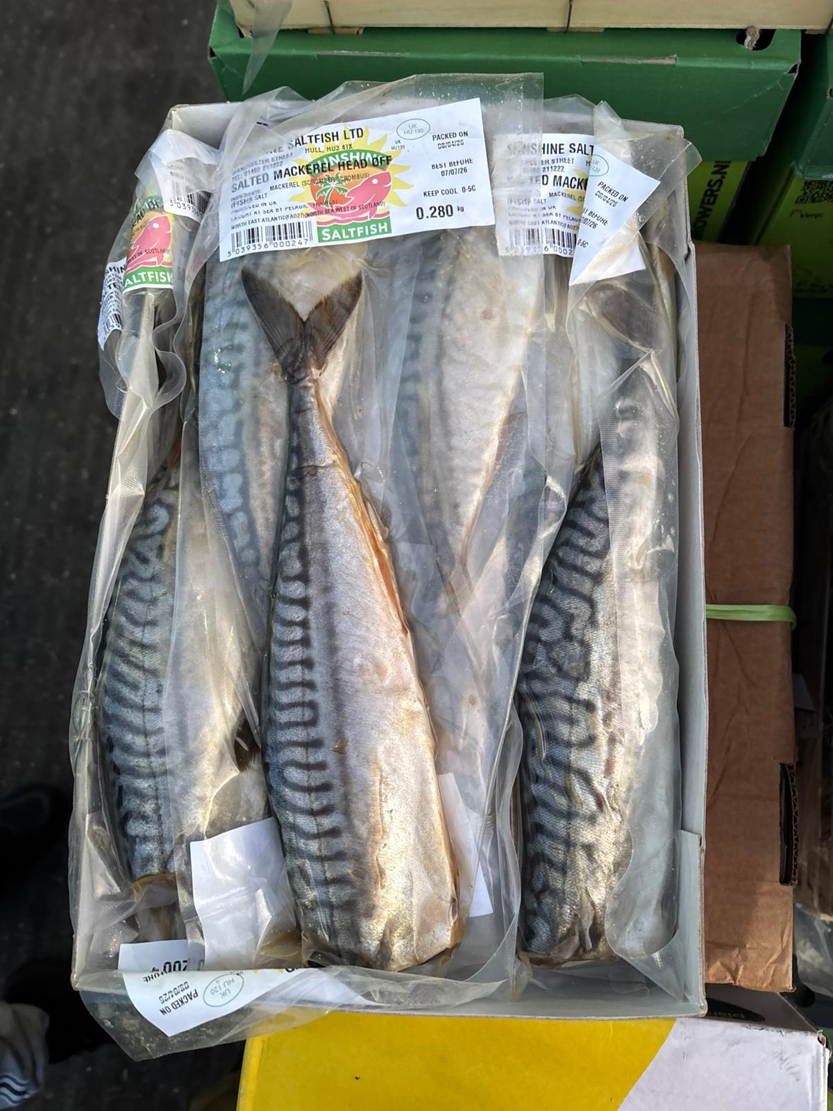 Mackerel 10kg