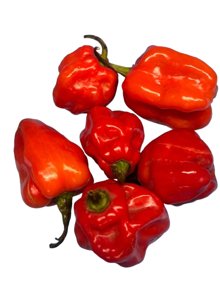 HOT PEPPERS (UGANDA)