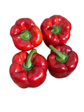 CAPSICUMS – RED BELL BOX