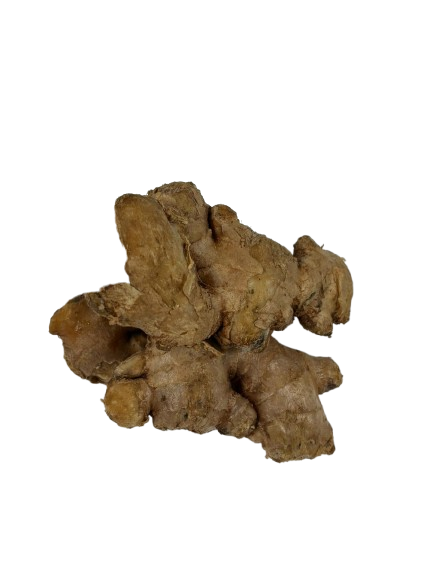GINGER – China