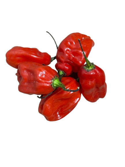 HOT PEPPERS (DUTCH)