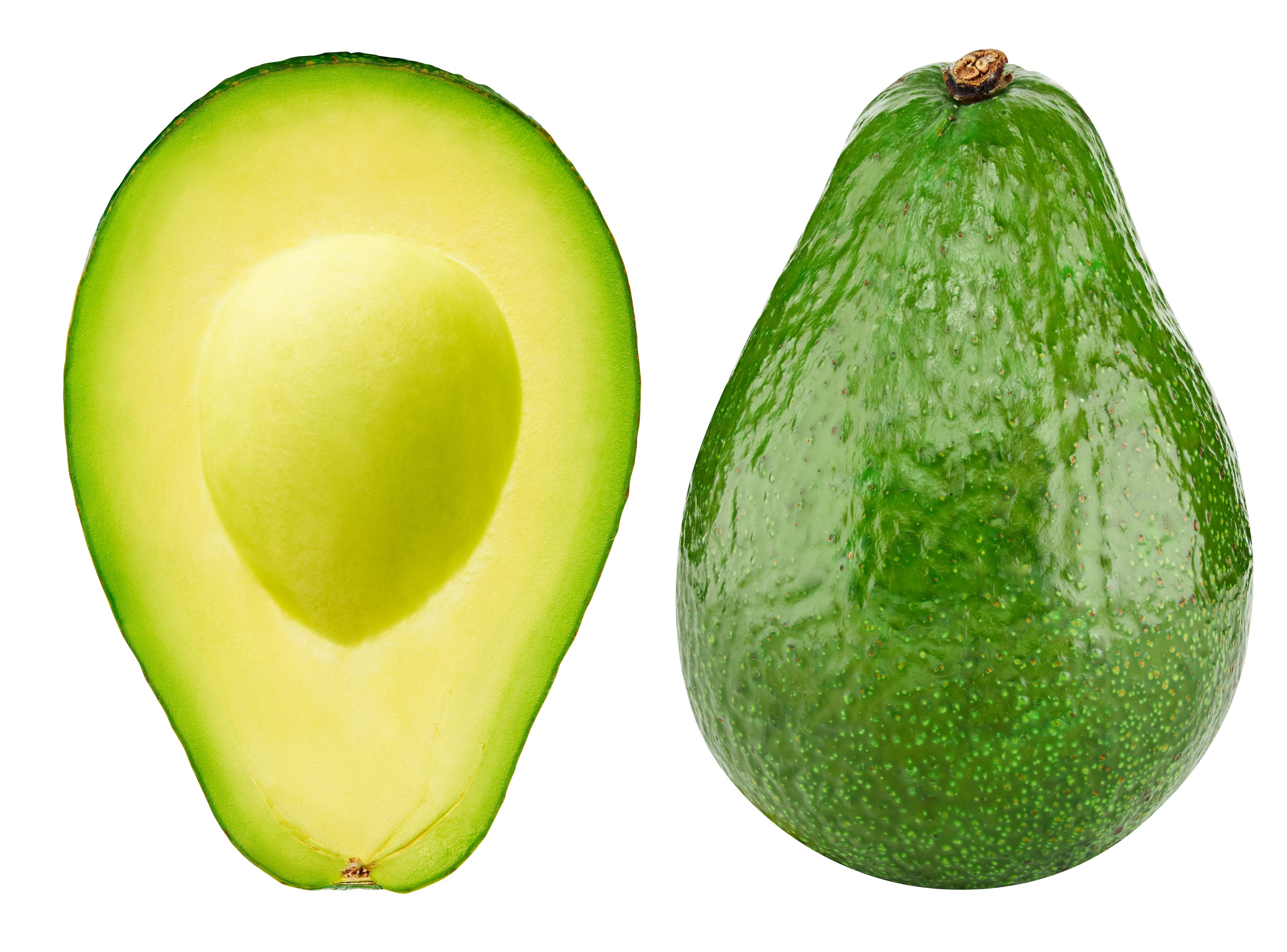 AVOCADO
