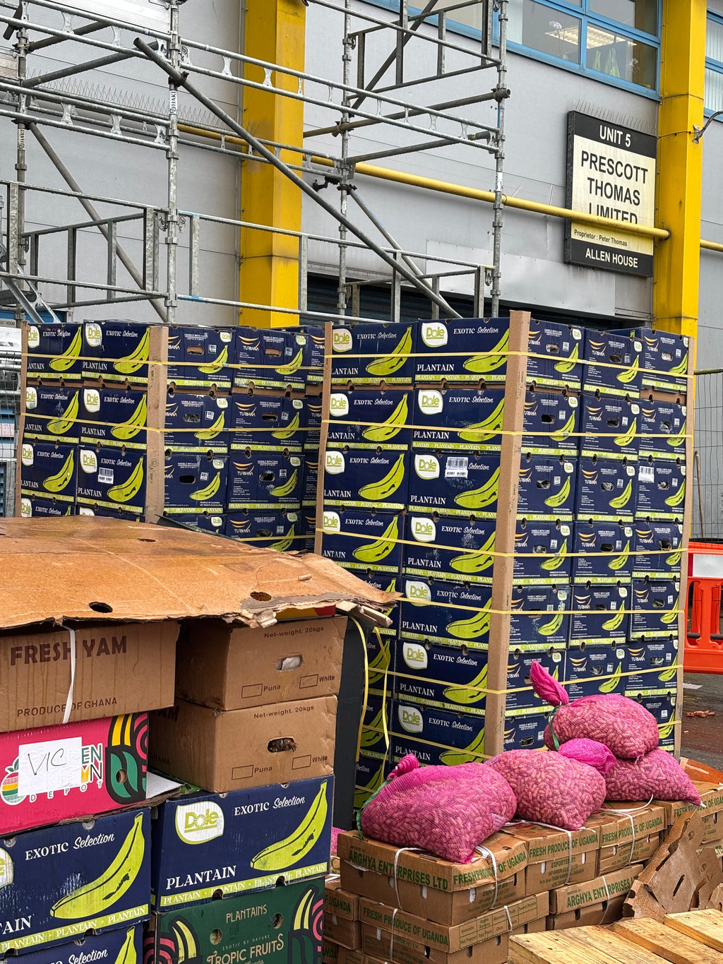 PLANTAINS COLUMBIA GREEN 22.7 kg