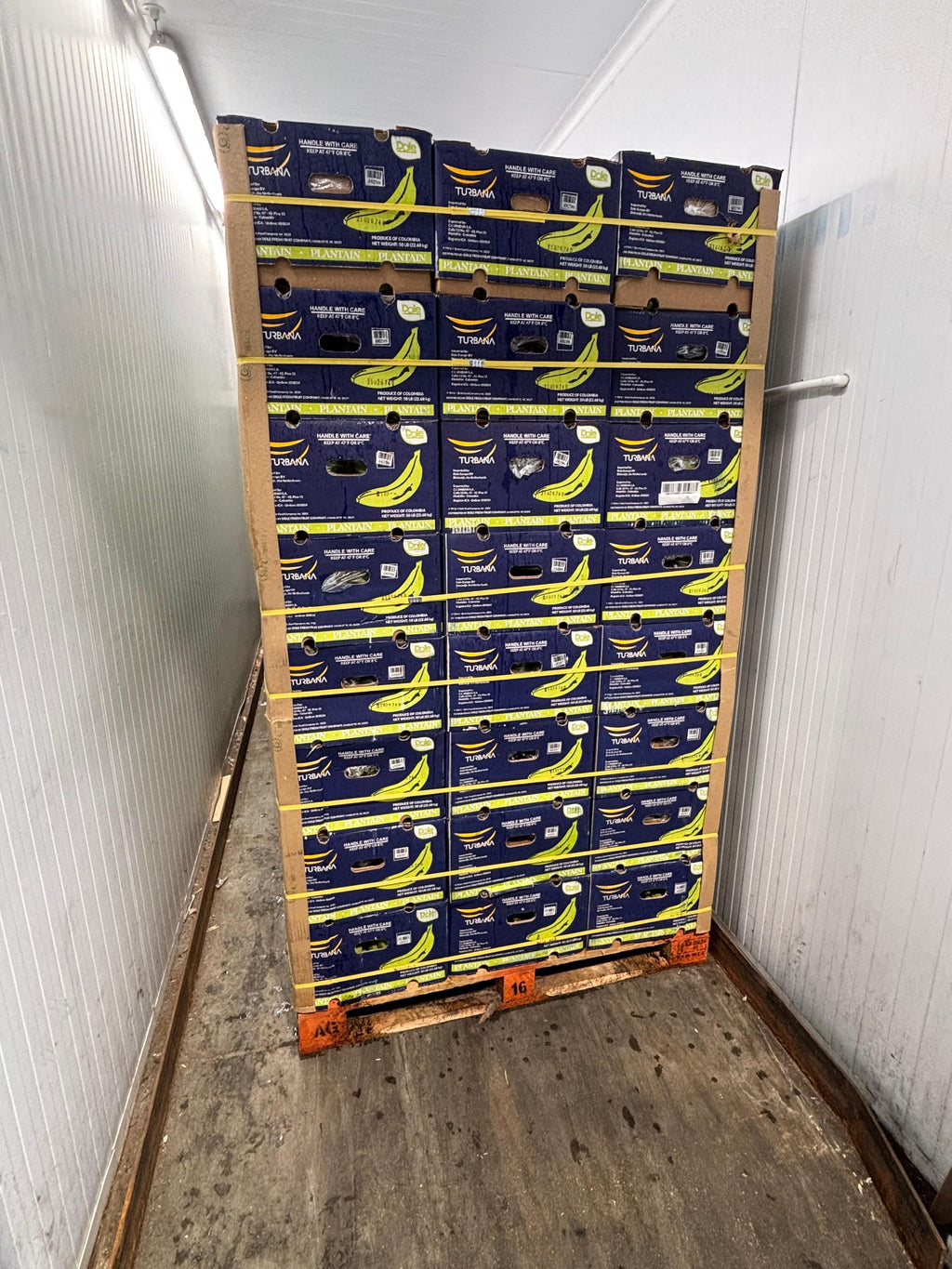 RIPE PLANTAIN 22.7 kg