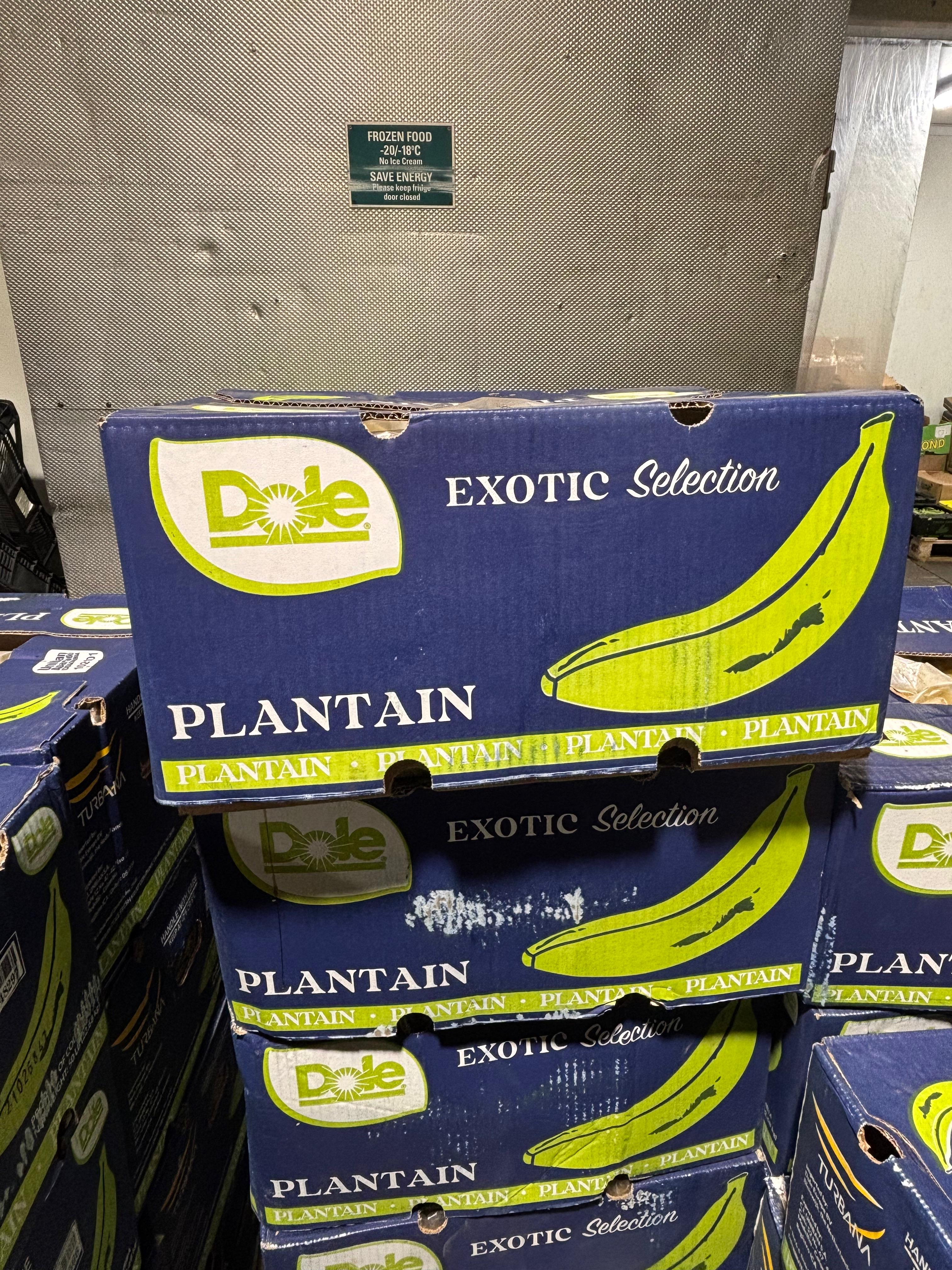 PLANTAINS – GREEN 22.7 kg